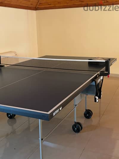 Butterfly tennis table