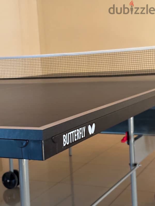 Butterfly tennis table 4