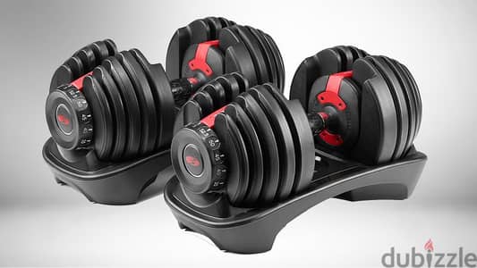 Original Adjustable Dumbbells (48kg)