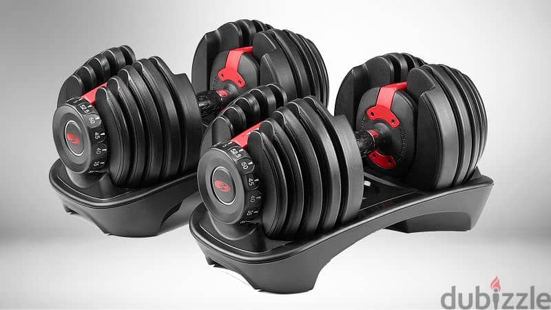 Original Adjustable Dumbbells (48kg) 0