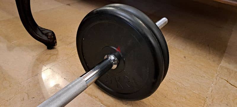 axe dumbbells and plates 1