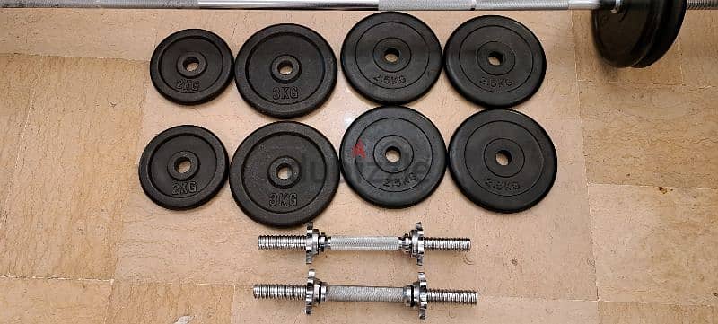 axe dumbbells and plates 2