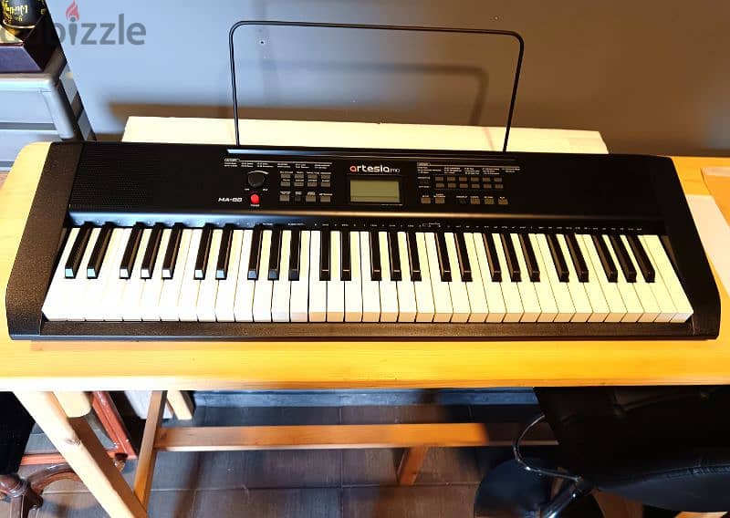 electronic digital keyboard organ 1