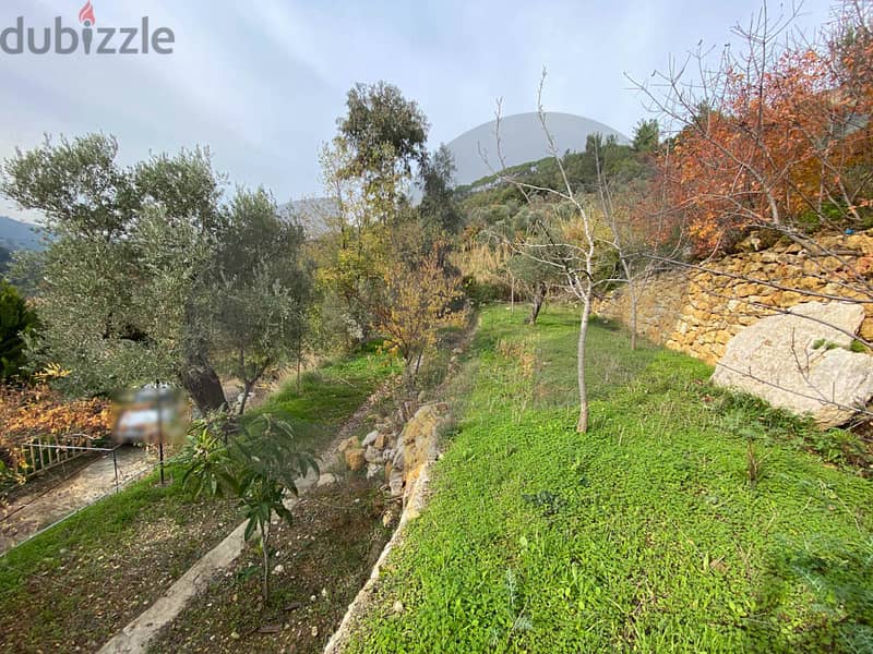 great potential for development, aley, aabey/ عاليه-عبيه REF#MA115951 1