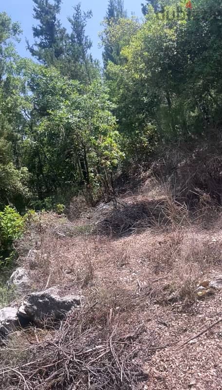 Land for sale in Keserwan 1