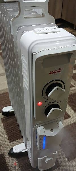 Radiator Heater