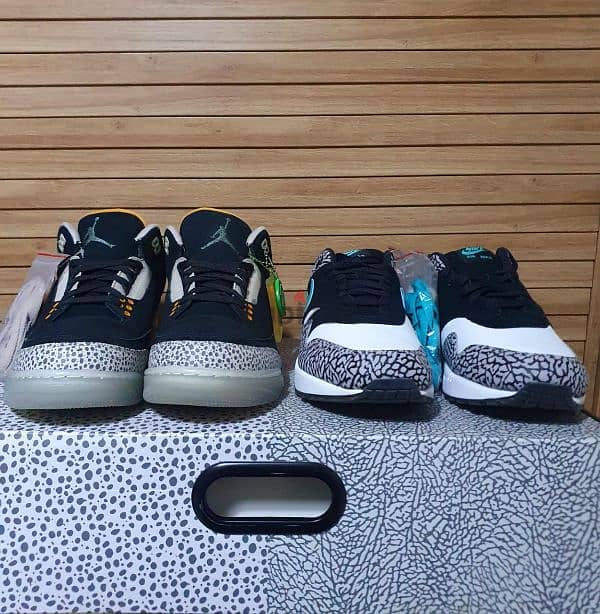 Jordan 3 Retro & Nike Air Max 1 atmos Pack 2