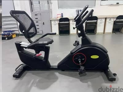 Deluxe Recumbent bike