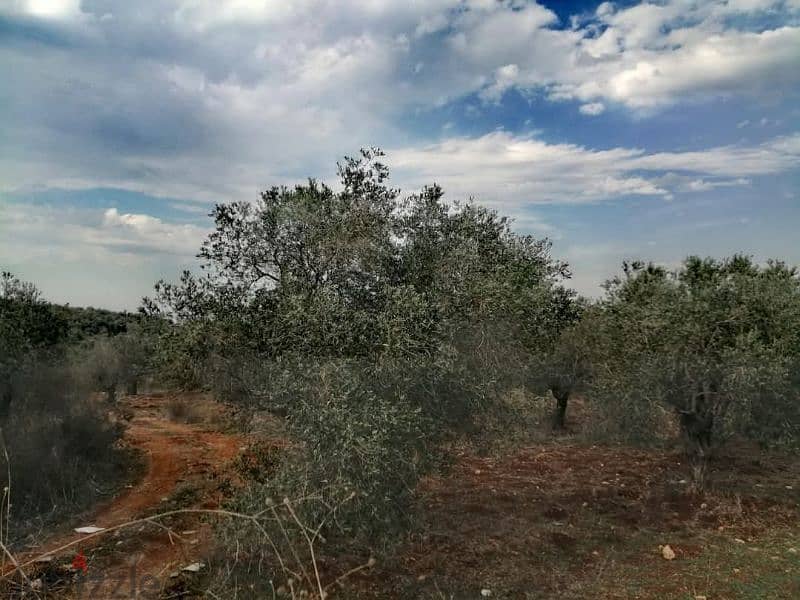 Land for Sale in Kalhat, أرض للبيع في الكورة 0