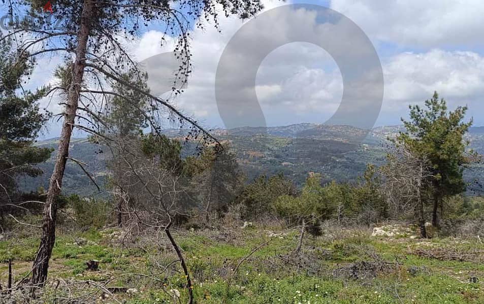 Great deal,mazraat -CHOUF/  مزرعة - الشوف REF#YS116031 1