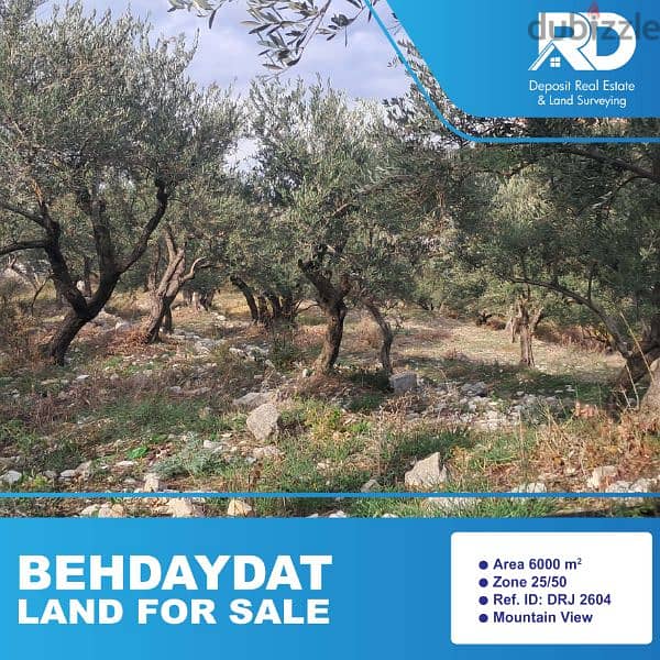 Land for sale at Behdaydat - أرض للبيع في بحديدات 0