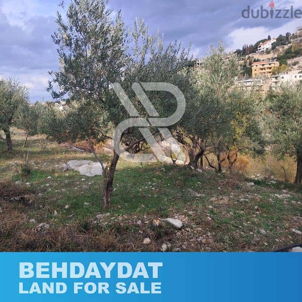 Land for sale at Behdaydat - أرض للبيع في بحديدات 1