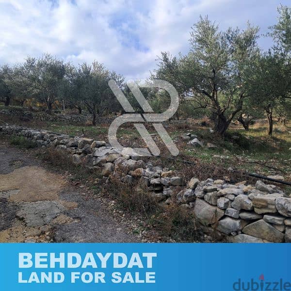 Land for sale at Behdaydat - أرض للبيع في بحديدات 2