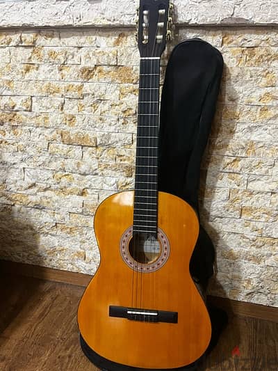 Hand hoffmann JH-2000 guitar