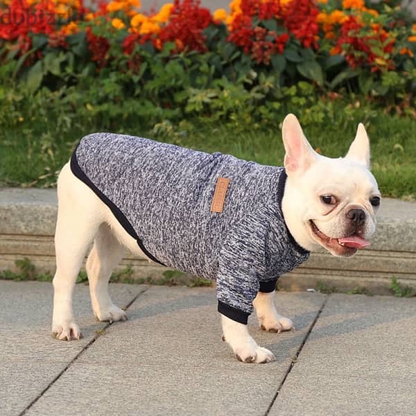 Small Dogs Sweater 1