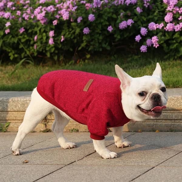 Small Dogs Sweater 3