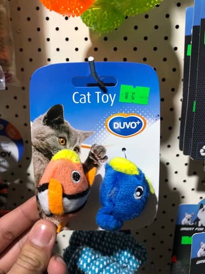 cat toy