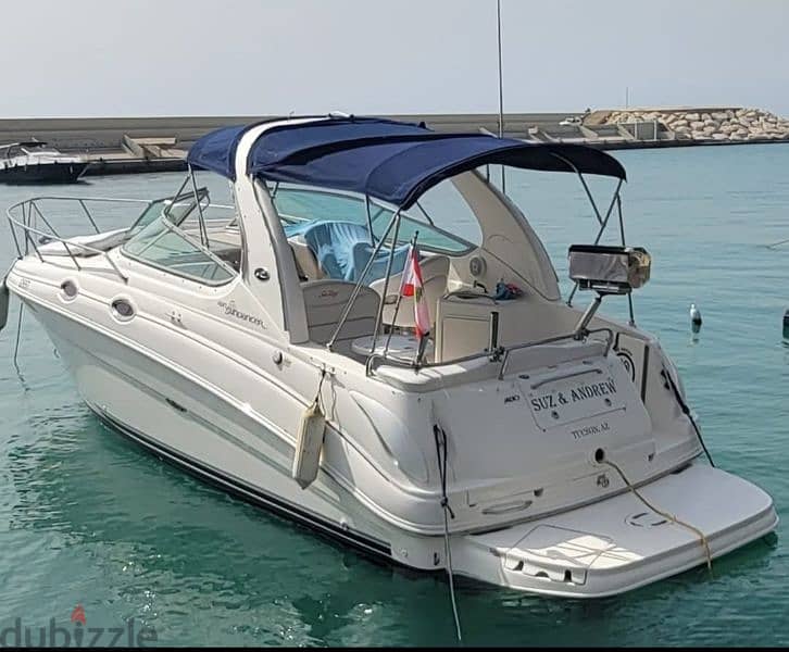 Searay sundancer 2004 0