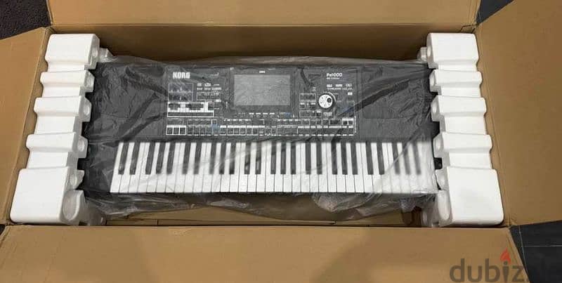 Korg Pa1000 MG 0