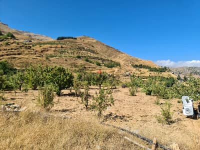 land for sale in tannourine أرض للبيع في تنورين ٢٥٠،٠٠٠$