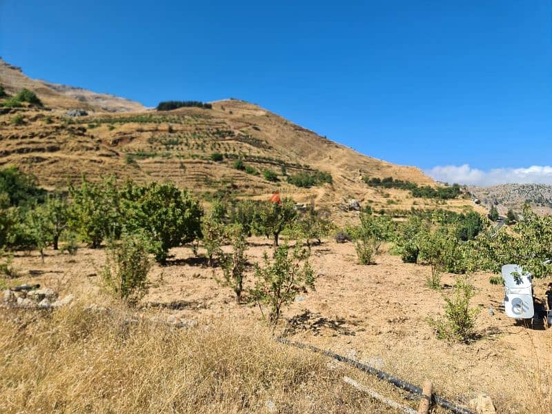 land for sale in tannourine أرض للبيع في تنورين ٢٥٠،٠٠٠$ 0