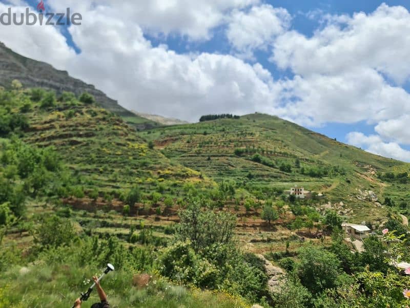 land for sale in tannourine أرض للبيع في تنورين ٢٥٠،٠٠٠$ 2