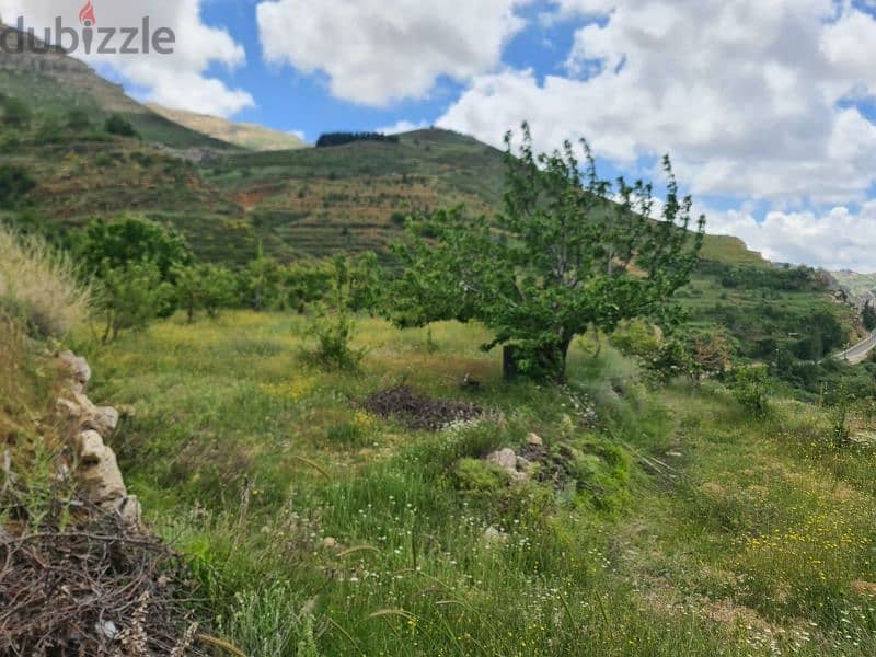 land for sale in tannourine أرض للبيع في تنورين ٢٥٠،٠٠٠$ 3