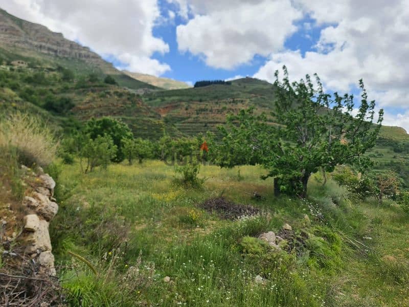 land for sale in tannourine أرض للبيع في تنورين ٢٥٠،٠٠٠$ 4