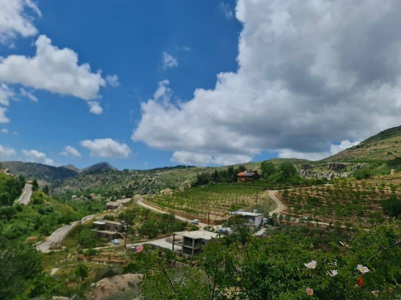 land for sale in tannourine أرض للبيع في تنورين ٢٥٠،٠٠٠$ 5