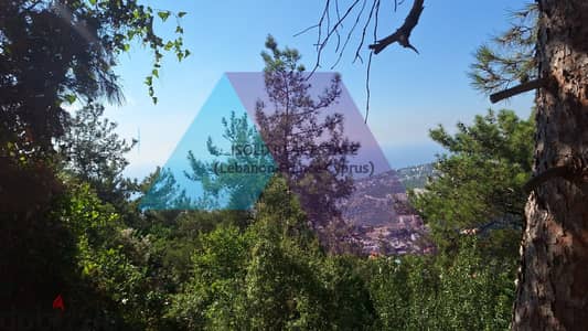 Land + Mountain/Sea View for sale in Nabey  -  أرض للبيع في ناباي