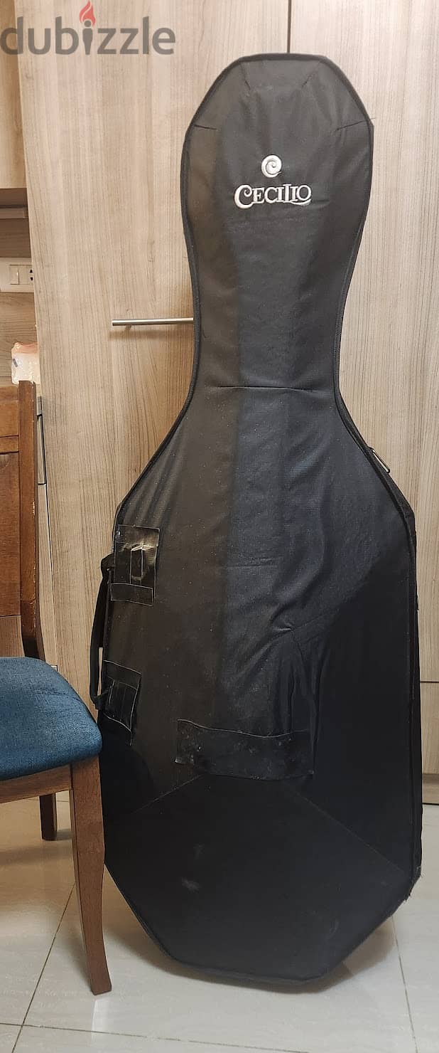 Cello Case (full size) 1