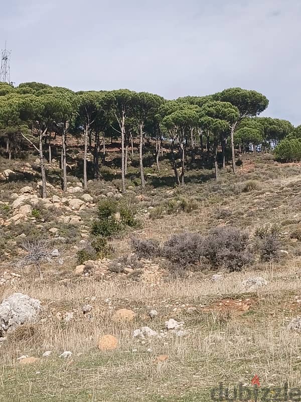 ارض للبيع في معاصر الشوفland for sale in shouf 0