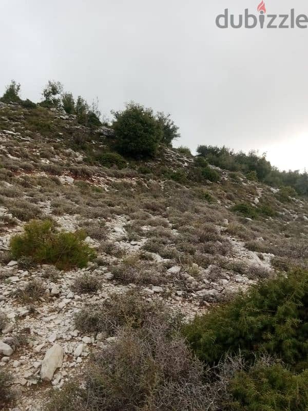 ارض للبيع في جبيل land for sale in jbeil 1