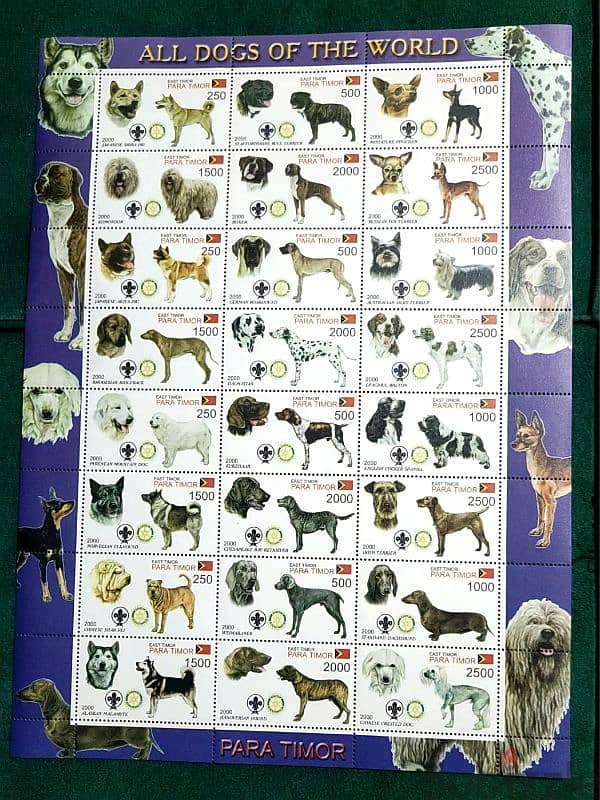 all kinds of dogs stamps sheet 0