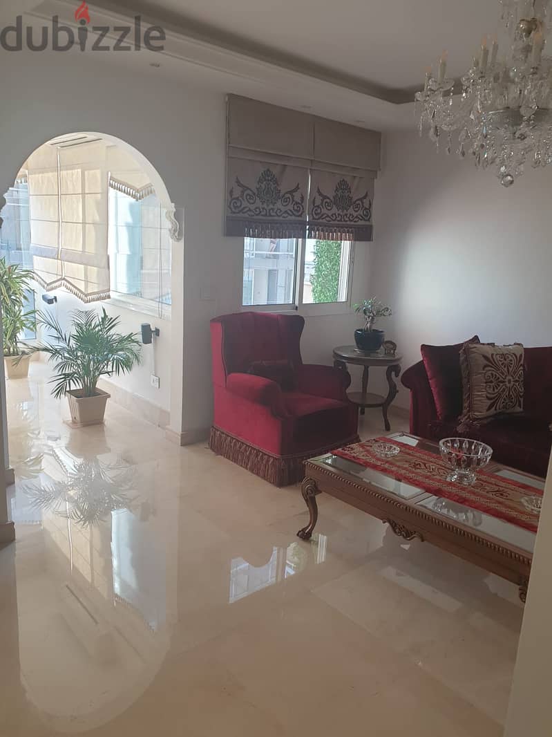 For Rent: Furnished Deluxe Apartment in Karakol El Druz 0