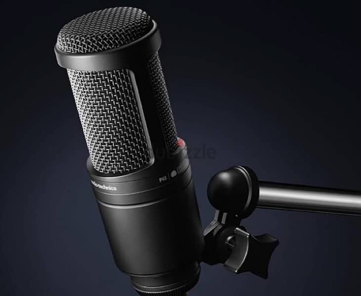 Condenser Microphone and Pop Filter 1