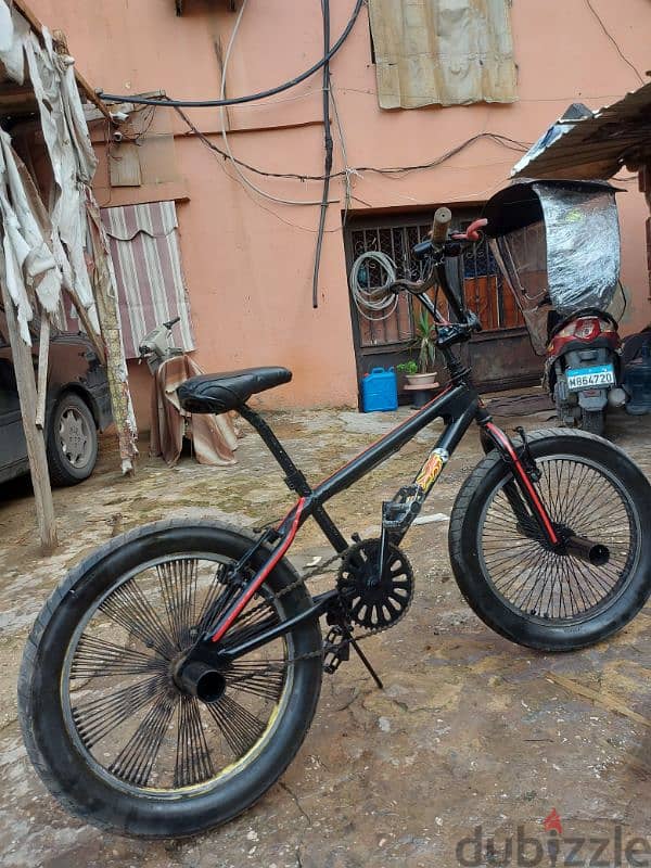 Cobra bicycle 2