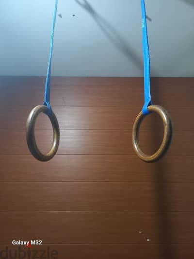 gymnastic rings