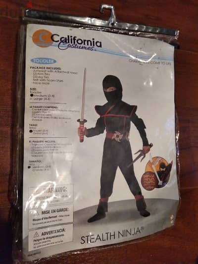 Ninja costume