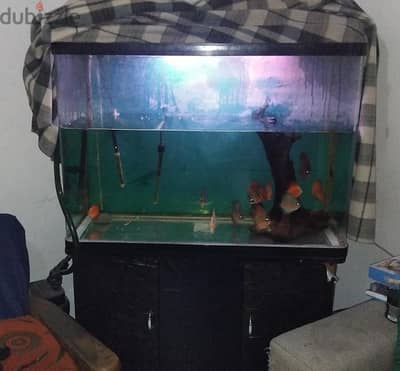 aquarium