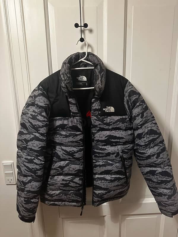 north face puffer 1