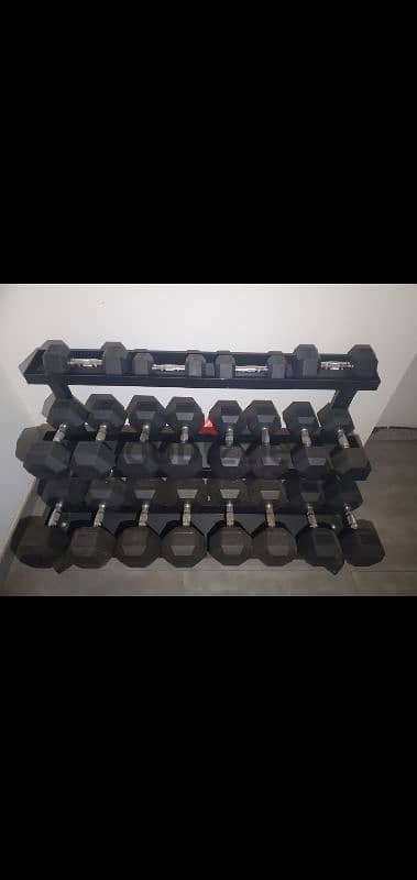 Complete Hex Dumbbell Set with 3-Level Rack (Excellent Condition) 0