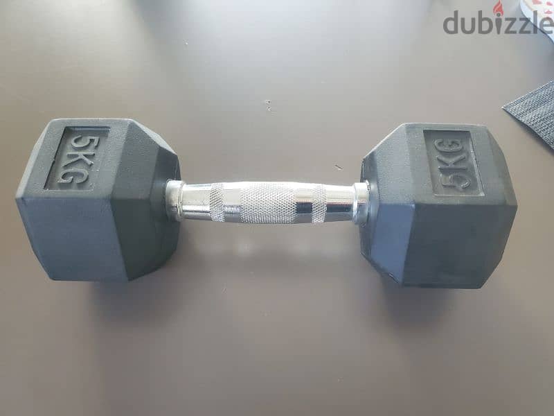 Complete Hex Dumbbell Set with 3-Level Rack (Excellent Condition) 1