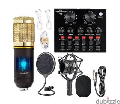 BM800 + V8 audiocard mixer for live audio tiktok ** special price