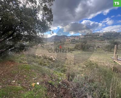 Great deal, aley, souk el ghareb/سوق الغرب REF#TS116180