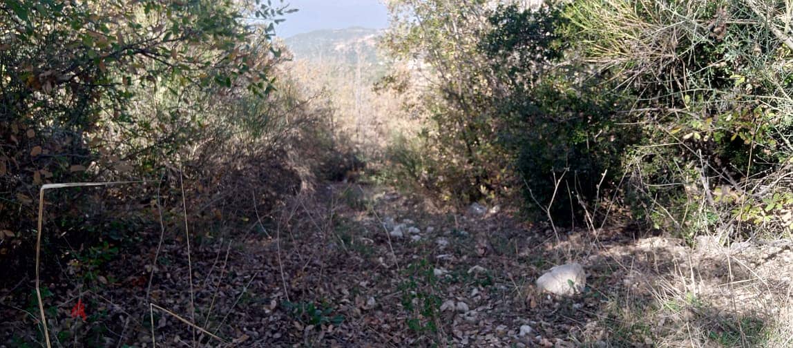 RWB146PK - Land for sale in Mechmech Jbeil 5