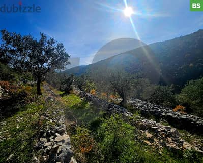 PERFECT LAND IN BATROUN MOUNTAINS REF#BS116184