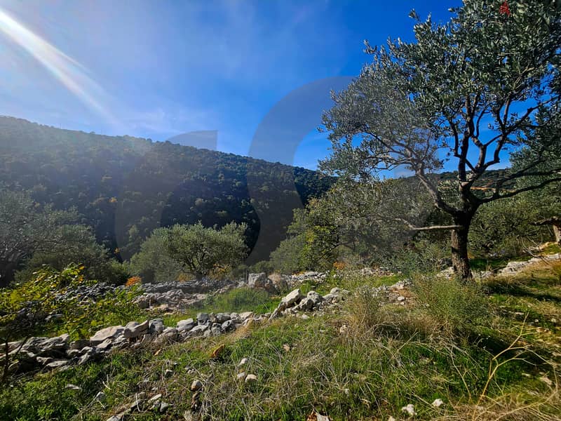 PERFECT LAND IN BATROUN MOUNTAINS REF#BS116184 1