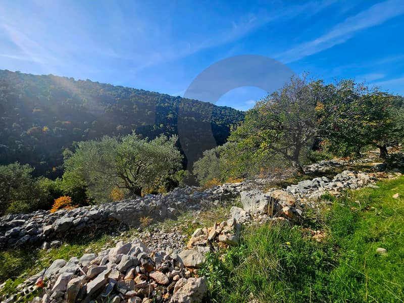 PERFECT LAND IN BATROUN MOUNTAINS REF#BS116184 2