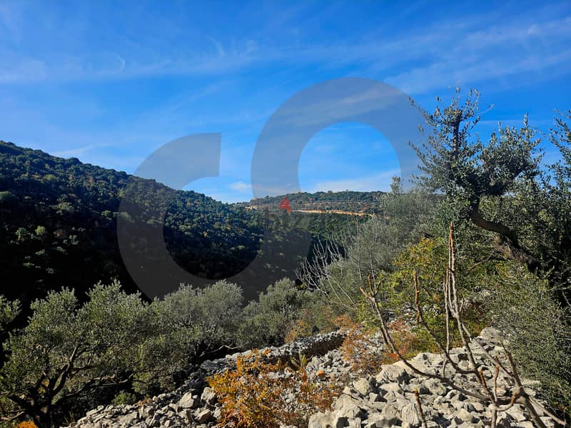 PERFECT LAND IN BATROUN MOUNTAINS REF#BS116184 4